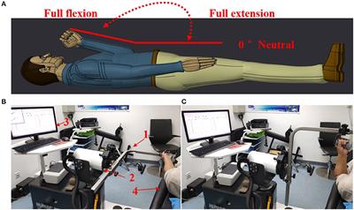 Spasticity Assessment Based on the Maximum Isometrics Voluntary Contraction of Upper Limb Muscles in Post-stroke Hemiplegia